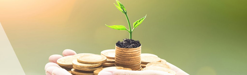 kumbakonam suriya nidhi